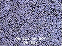 rockos modern life nicksplat GIF