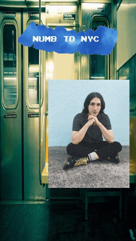 sambierman giphygifmaker GIF