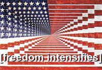 Independence Day America GIF