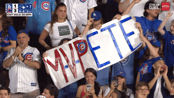 Chicago Cubs Baseball GIF