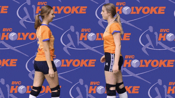 Team Volleyball GIF by BVC Holyoke