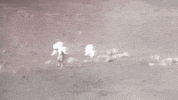moon history GIF by NASA