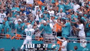 Take It National Football League GIF by NFL