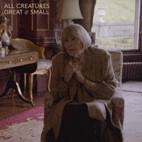 allcreaturestv animals yorkshire veterinarian tristan GIF