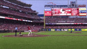 Home Run Sport GIF by MLB