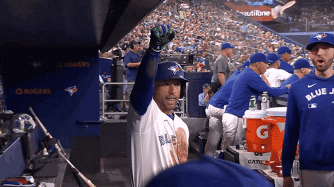 Blue Jays Baseball GIF by Toronto Blue Jays