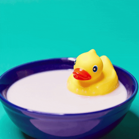 thecerealschool giphyupload cereal rubber duckie cereal bowl GIF
