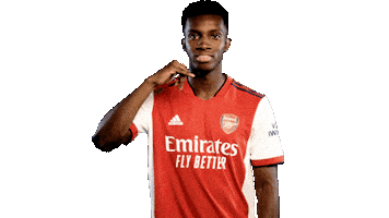 Celebrate London Sticker by Arsenal