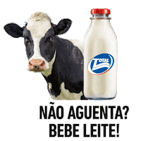 Vaca Leite Sticker by Socil