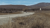 Ride GIF by Harley-Davidson