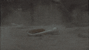 Music Video Blues GIF by Joe Bonamassa