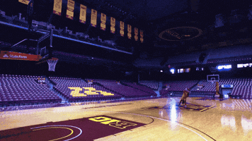 goldythegopher minnesota big ten b1g Gophers GIF