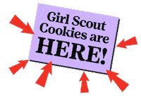 Cookie Jar Cookies And Milk Sticker by Girl Scouts