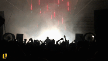 dance party GIF