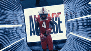 College Football GIF by gamecocksonline