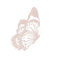 Butterfly Acreditar Sticker by VIPAPIER