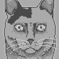 jambonepix cat halloween scary junjiito GIF