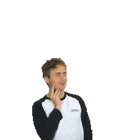 Good Times Norske Tilstander Sticker by NRK P3