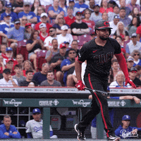Baseball Mlb GIF by Cincinnati Reds