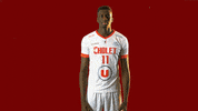 choletbasket sport basketball basket cb GIF