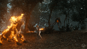 Blizzard Entertainment Jungle GIF by Xbox