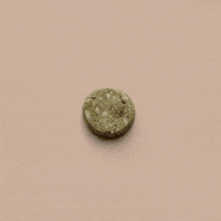Chippin GIF by SPOTTED BY HUMPHREY