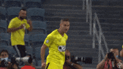 Max Fcbj GIF by Beitar Jerusalemn F.C
