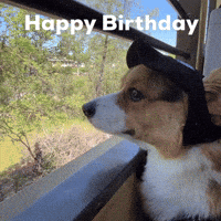 Happy Birthday Dog GIF