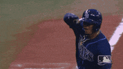 Regular Season Sport GIF by MLB