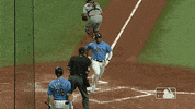 Regular Season Sport GIF by MLB