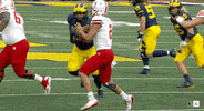 Go Blue Michigan Football GIF by Michigan Athletics