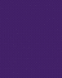 Flt Festalateva GIF by CREA2