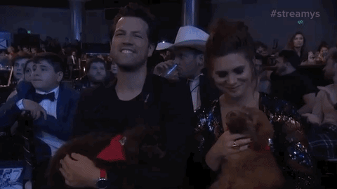 2018 streamys GIF by The Streamy Awards