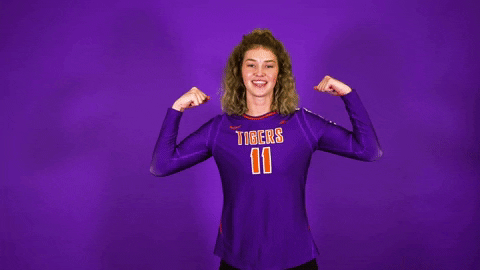 Clemsonvb Championshipbehavior GIF by Clemson Tigers