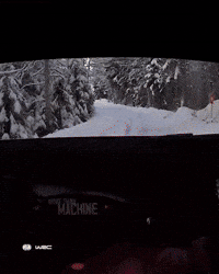 Snow Crashing GIF by FIA World Rally Championship