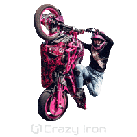 Motorcycle Stuntbike Sticker by Crazy Iron