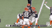Nfl Playoffs Football GIF by NFL