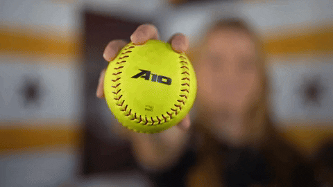 Loyola Softball GIF by LoyolaRamblers