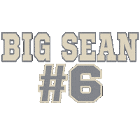 Baseball Team Sticker by LITTLE SHARK AND CO.