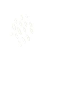 Design Illustration Sticker