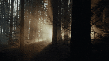 Tatiana Maslany Keeper GIF by NEON