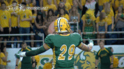 north dakota state football GIF by NDSU Athletics