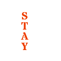 Tik Tok Instagram Sticker by ruth rulez