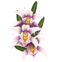 Flowers Spring Sticker by Jenn Arregocés