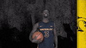 University Of Waterloo Basketball GIF by Waterloo Warriors