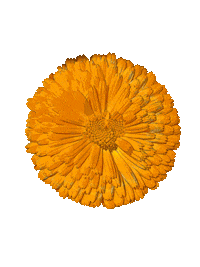 Flowers Boo Sticker by Riverslide Skatepark