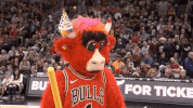 nba basketball GIF by Chicago Bulls