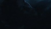 GIF by wtFOCK