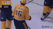 ice hockey hug GIF by NHL
