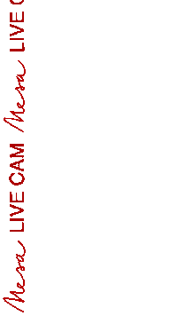 Shisha Mesalounge Sticker by Mesa Kitchen & Lounge LTD